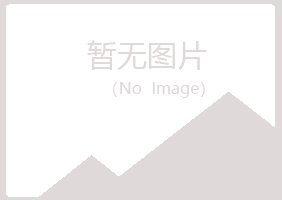 鹤山盼夏咨询有限公司